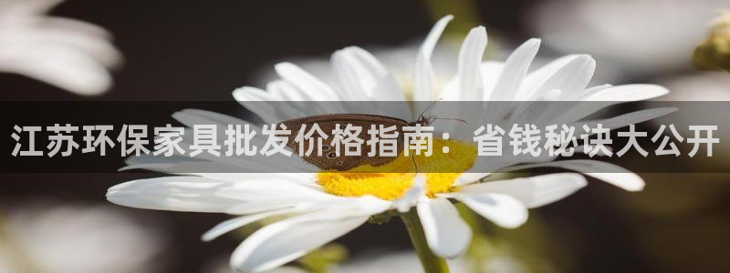 杏耀平台代理怎么赚钱快